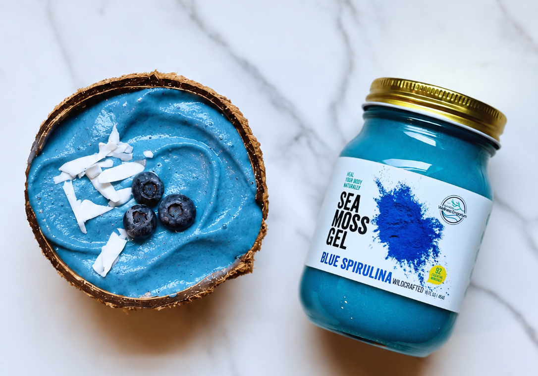 Blue Spirulina Sea Moss Smoothie Bowl