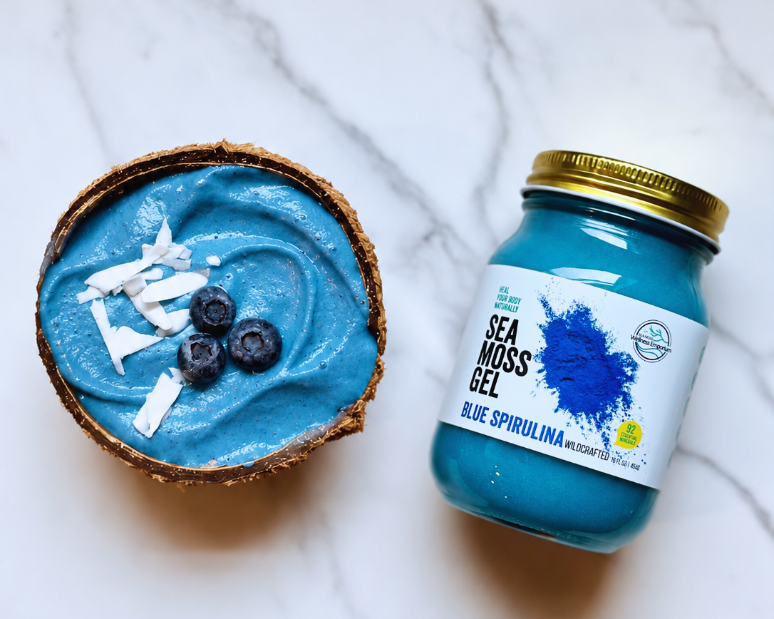 Blue Spirulina Sea Moss Smoothie Bowl