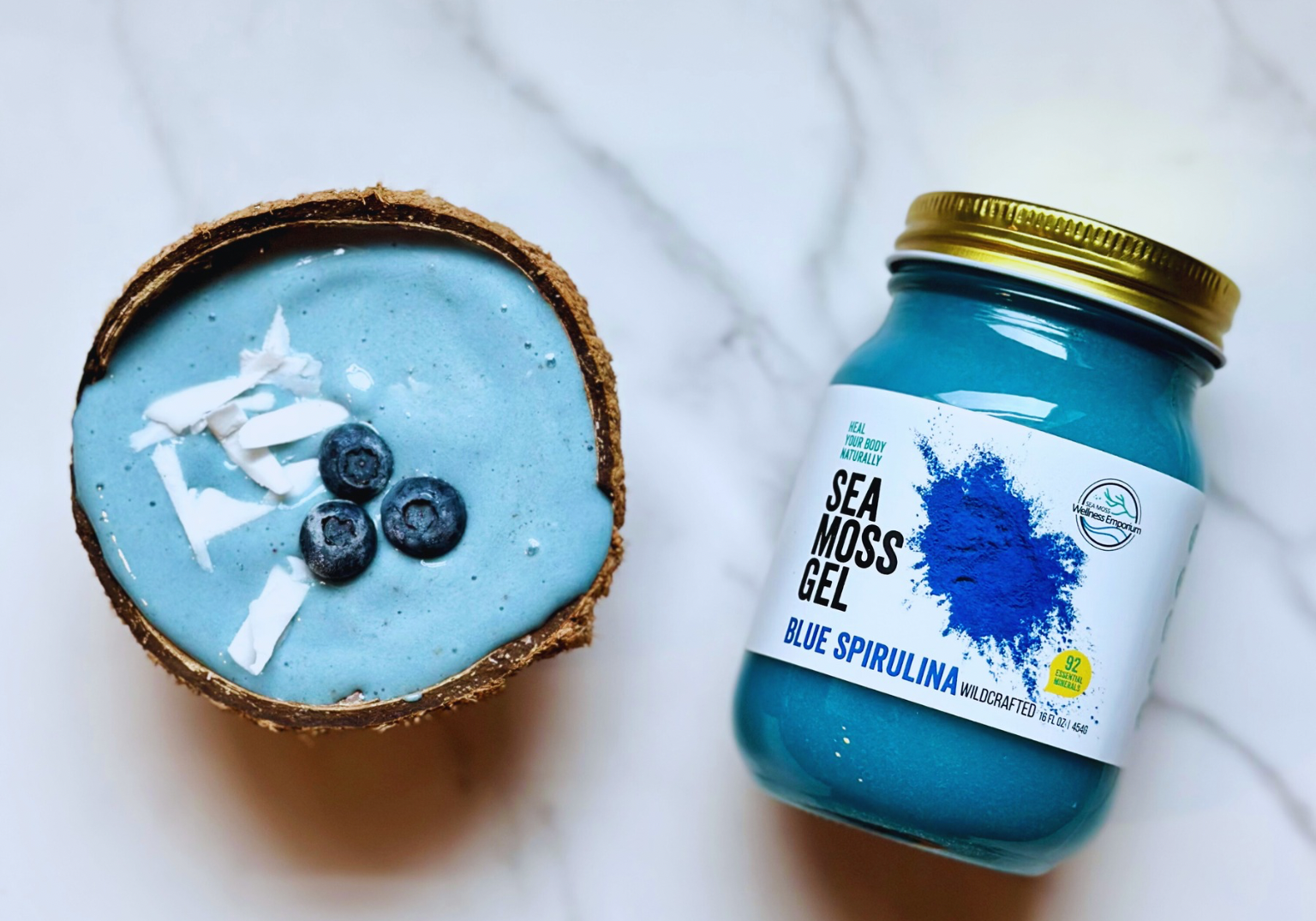 Blue Spirulina Sea Moss Smoothie Bowl