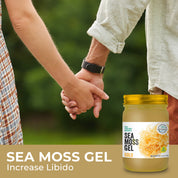 Gold Sea Moss Gel